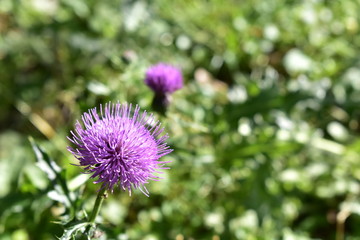 もっと知りたい