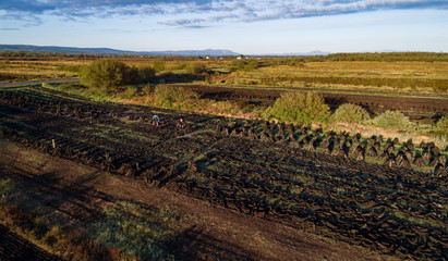 Fototapeta na wymiar Aerial view of people cultivating harvested peat bog during early summer in rural Ireland