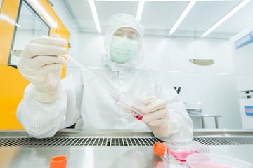 A scientist transfering fresh medium into petri dishes and flasks for cell culture assay in...