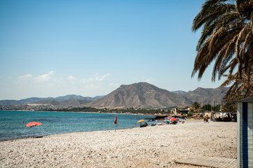 beach with chairs and umbrellas