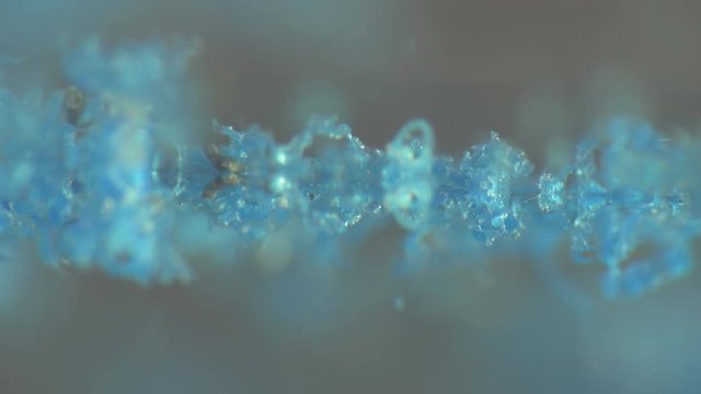 Small particles of plastic stick together in water in fragile fields which leads to formation of large garbage Islands of plastic in Pacific ocean. Plastic contamination, pollution of oceans