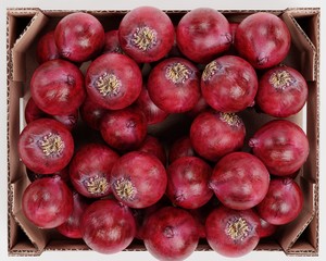 Realistic 3D Render of Onions in Box