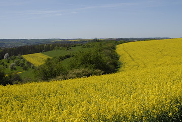 Landschaft