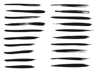 Calligraphy Paint Thin Brush Lines High Detail Abstract Vector Background Set 53
