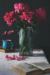 Bouquet of flower peonies in vase on a dark background. Botanical still life © kucherav