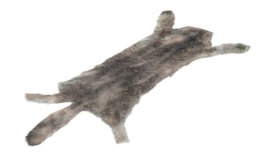Realistic 3D Render of Wolf Skin