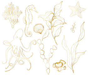 Vector golden sketch set with underwater life. Hand painted seahorse, laminaria, starfish and shell isolated on white background. Aquatic line art illustration for design, print or background. © yuliya_derbisheva