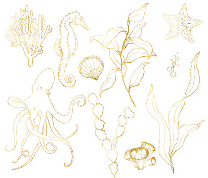Vector golden sketch set with underwater life. Hand painted seahorse, laminaria, starfish and shell isolated on white background. Aquatic line art illustration for design, print or background.