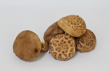 mushrooms isolated on white background