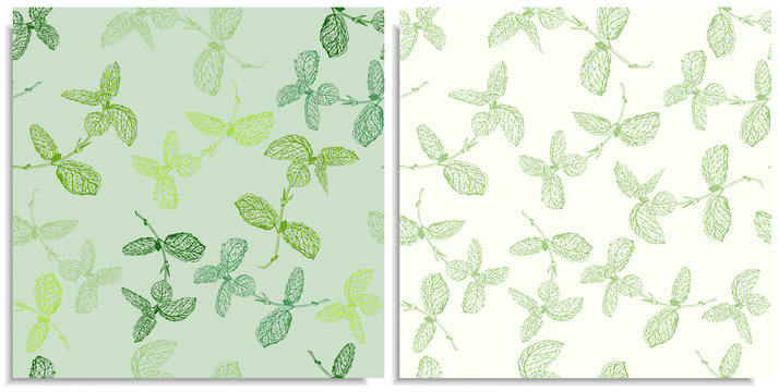A vector set of a seamless pattern with sprigs of mint. Hand-drawn on sheet at the graphic style. Only lines, compound path, good for make new brush. Different colors, peppermint, green color shades