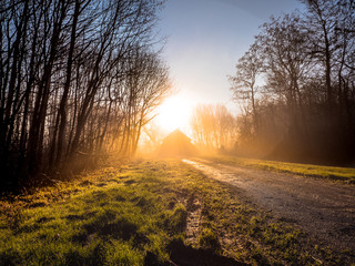 foggy road