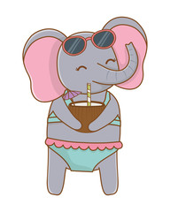 cute animal enjoying summer vacations