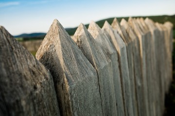 Fototapeta premium Wooden defense fence - spiked sticks