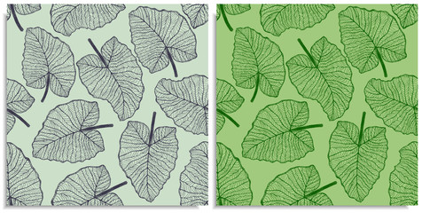 Vector set of a seamless pattern with sprigs of jungles leaves. Hand-drawn on sheet at the graphic style. Lines, compound path. Green color shades. Elephant Ears, Alocasia, Colocasia, Xanthosoma leaf.