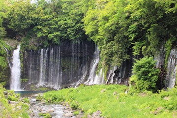 白糸の滝 静岡
