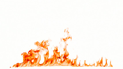 Fire flames isolated on white background.