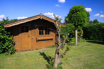 Panoramic view on german garden with green lawn, plane tree, beech hedge and old wooden hut against blue sky