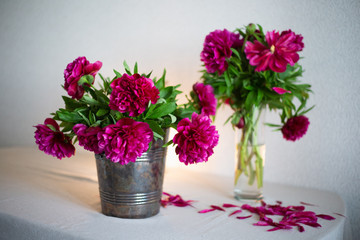 Pink peony on the table