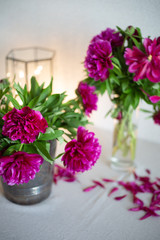 Pink peony on the table