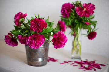 Pink peony on the table