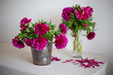 Pink peony on the table