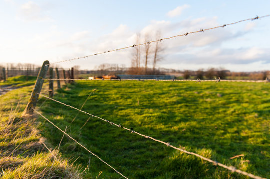 Impression of a barbed wire fence running through the flemish country side. Image taken around sunset.