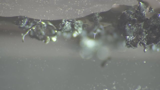 Small particles of plastic stick together in water in fragile fields which leads to formation of large garbage Islands of plastic in Pacific ocean. Plastic contamination, pollution of oceans