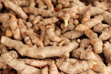 Fresh turmeric root is herb for health