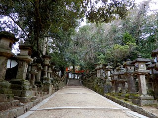 Temple Path in Nara
