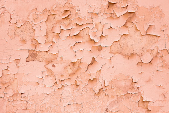 Texture Of Old Concrete Wall With Fallen Off Pink Paint And Plaster.