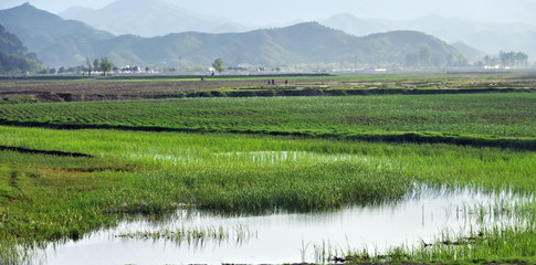 North Korea. Countryside