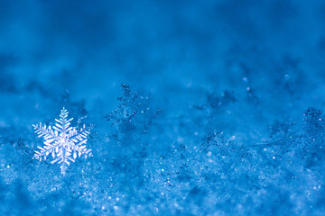 brilliant snowflake close-up