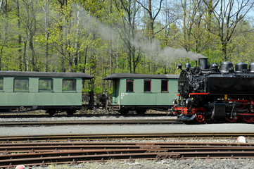 Obraz premium zittauer schmalspurbahn, bahnhof bertsdorf