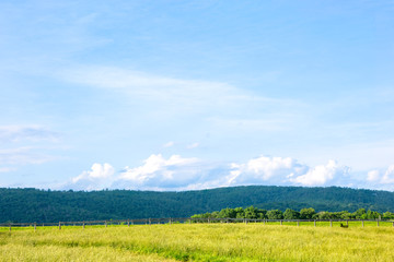 Obraz premium Rural Lanscape in Virginia USA