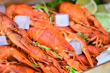 crayfish  on ice on the table