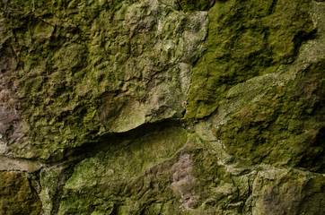 stone wall texture