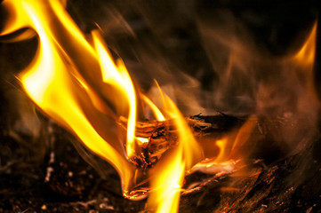 Burning firewood in the fireplace close up