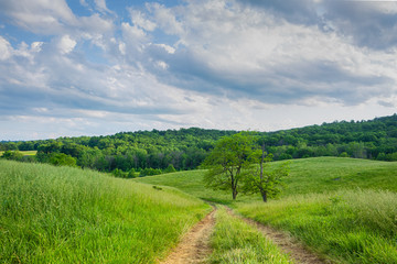 Fototapeta na wymiar Peaceful Rural Scene in Virginia USA