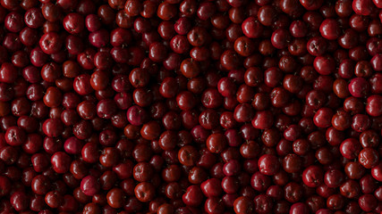 3D Rendering of Red Apples