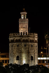 Fototapeta na wymiar tower at night