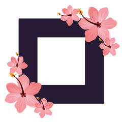 frame with flower of summer isolated icon