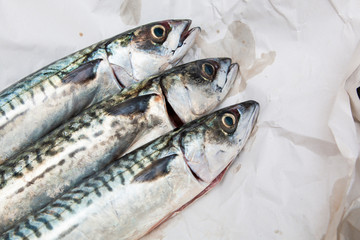raw mackerel ready to be cooked 
