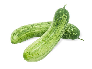 cucumber isolated on white