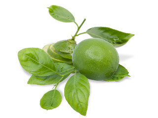 lemon green isolated
