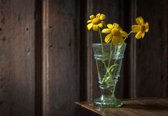 Unas margaritas amarillas en un jarrón de cristal con agua y con un fondo de madera antigua