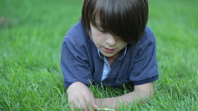 Preteen child, boy, exploring with magnifying glass, watching ladybugs in the grass