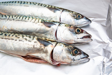 raw mackerel ready to be cooked 
