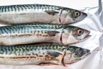 raw mackerel ready to be cooked 