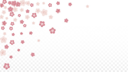 Vector Realistic Pink Flowers Falling on Transparent Background.  Spring Romantic Flowers Illustration. Flying Petals. Sakura Spa Design. Blossom Confetti. Design Elements for Wedding Decoration.