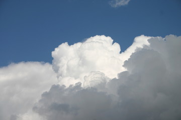 white clouds in the sky